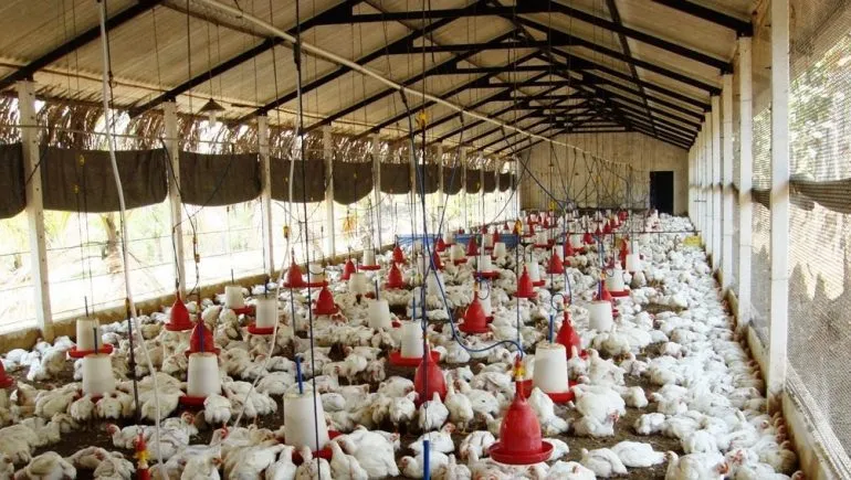 افضل مقاول تركيب هناجر في جميع مناطق المملكة السعوديه