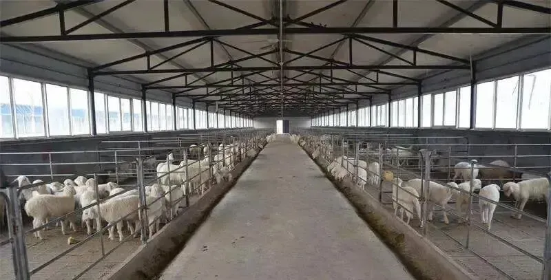 افضل مقاول تركيب هناجر في جميع مناطق المملكة السعوديه