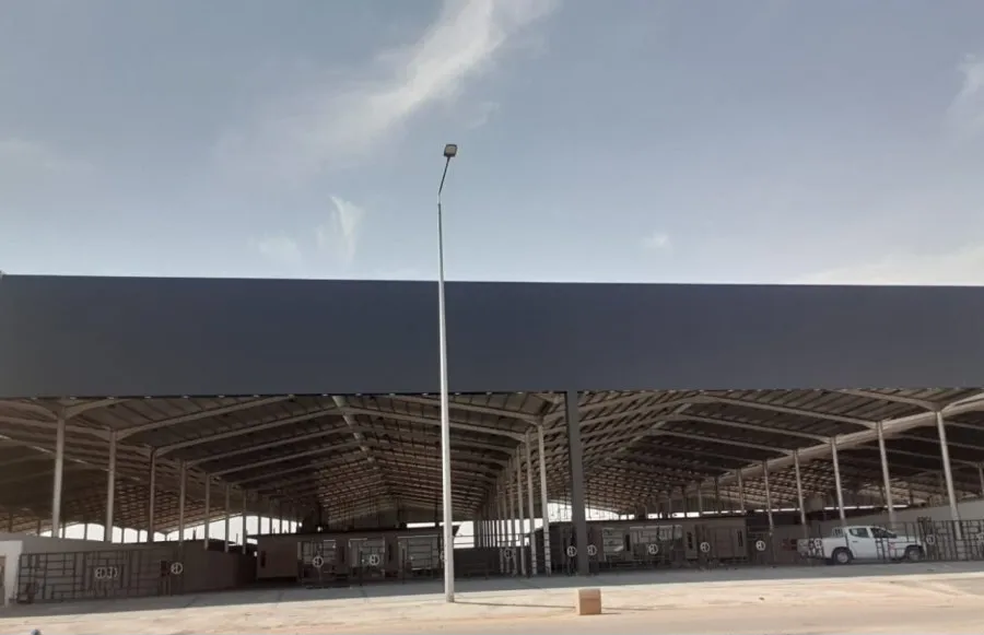 بناء هناجر ومستودعات المملكة دقه في العمل وسرعة في التنفيذ